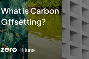 What is Carbon Offsetting? Image