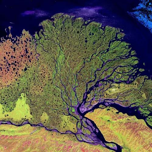 River delta from space