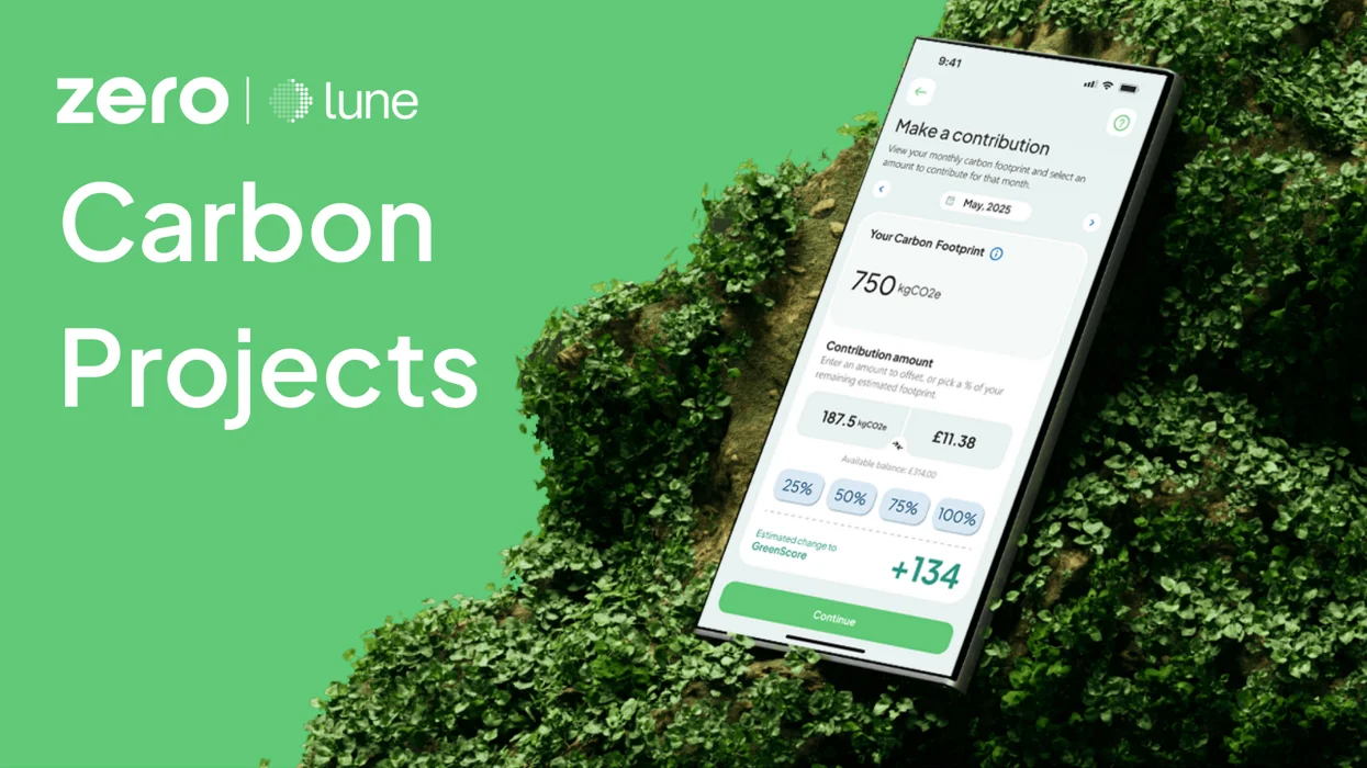 What is Zero Carbon Projects?
