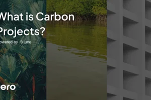 What is Carbon Offsetting? Image
