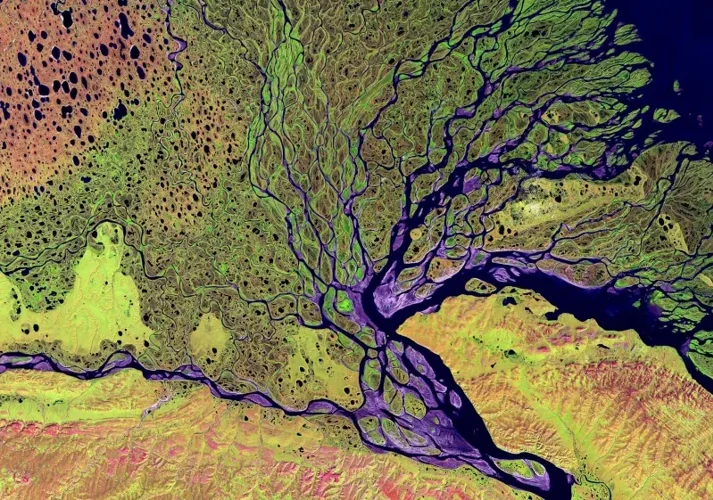 River delta from space landscape
