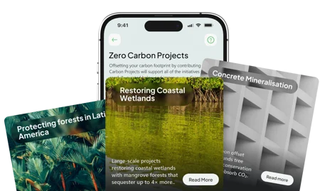 What Is Carbon Projects